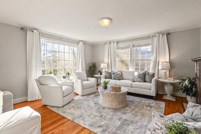 living room featuring crown molding and wood-type flooring