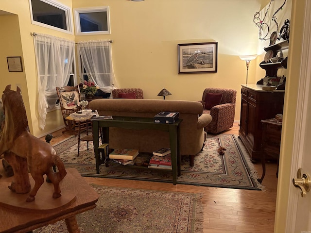 living room featuring hardwood / wood-style flooring