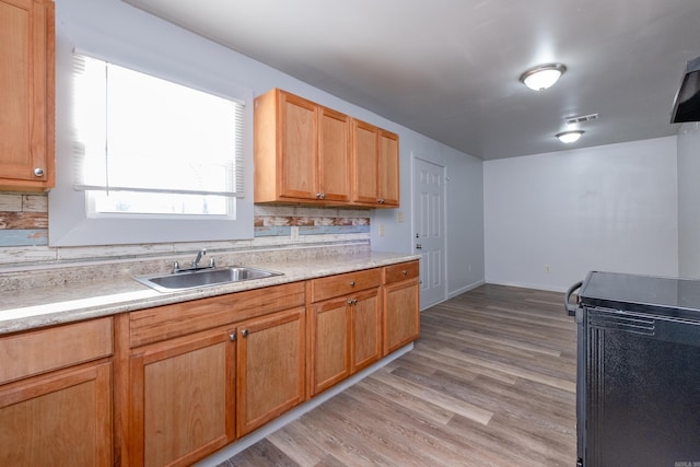 kitchen featuring light hardwood / wood-style floors, tasteful backsplash, electric range, and sink