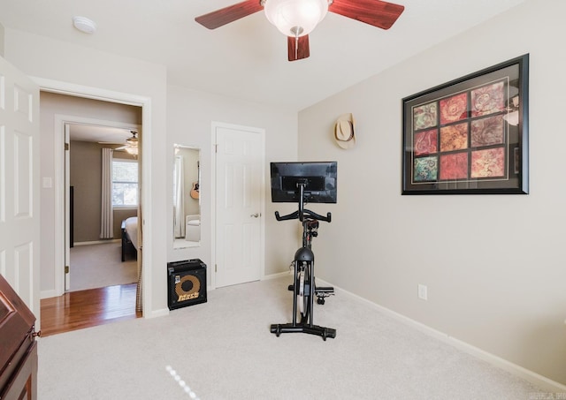 workout room featuring carpet