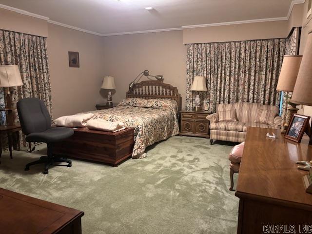 carpeted bedroom with crown molding