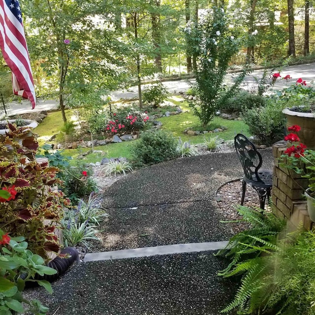 view of yard with a patio