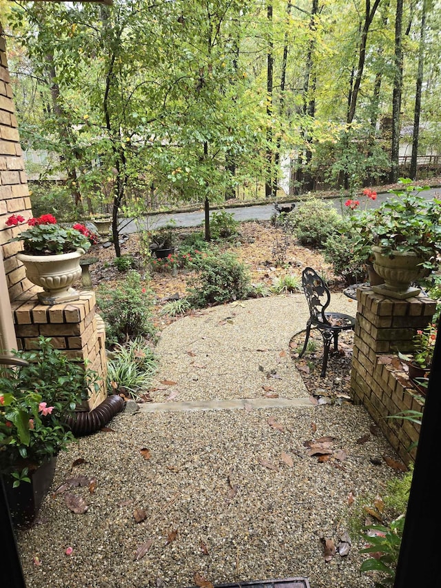 view of yard with a patio