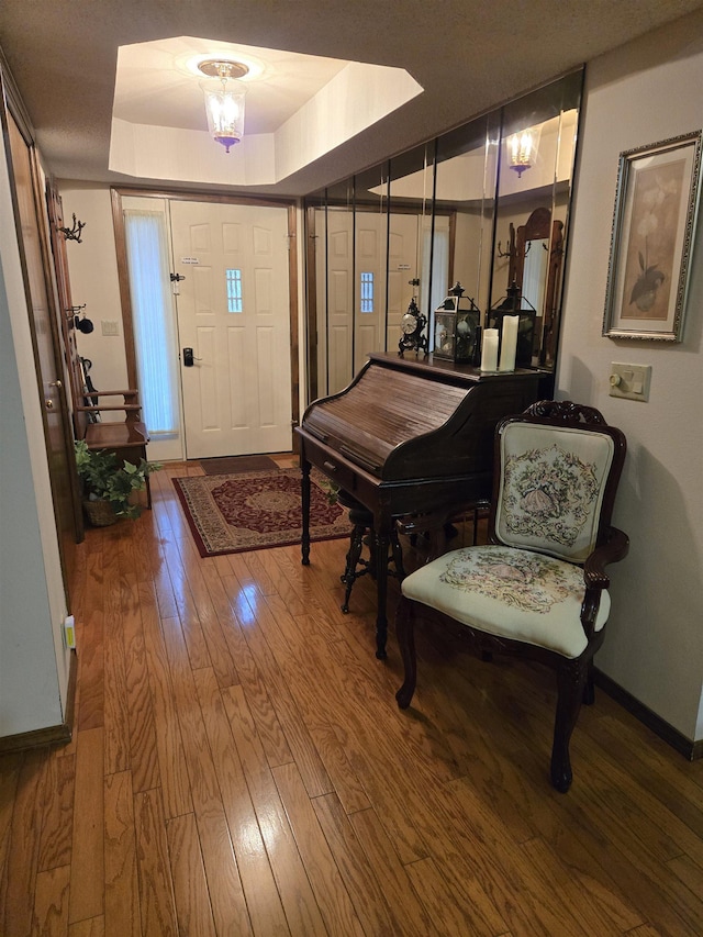 entryway featuring a raised ceiling and wood-type flooring