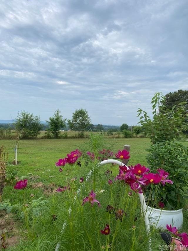 view of yard with a rural view