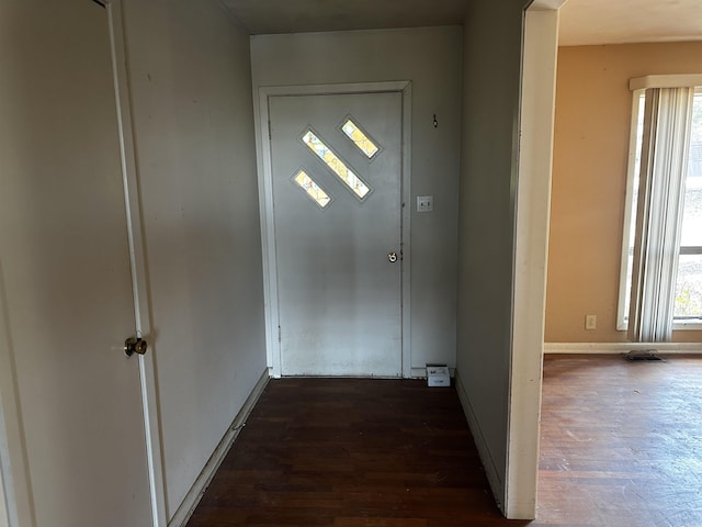 doorway featuring dark hardwood / wood-style floors and a wealth of natural light