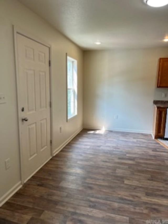 interior space featuring dark wood-type flooring