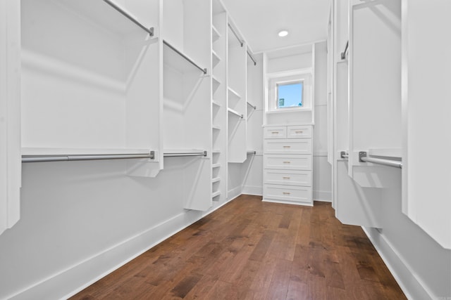 spacious closet featuring dark hardwood / wood-style flooring