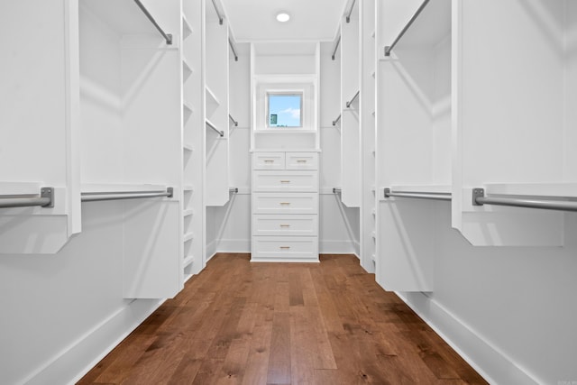 spacious closet featuring dark wood-type flooring