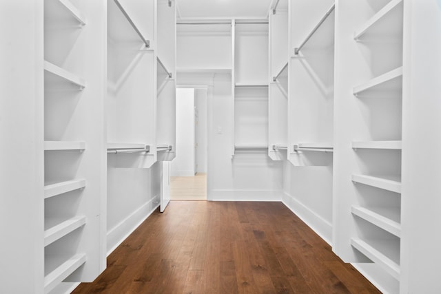 spacious closet featuring dark hardwood / wood-style flooring