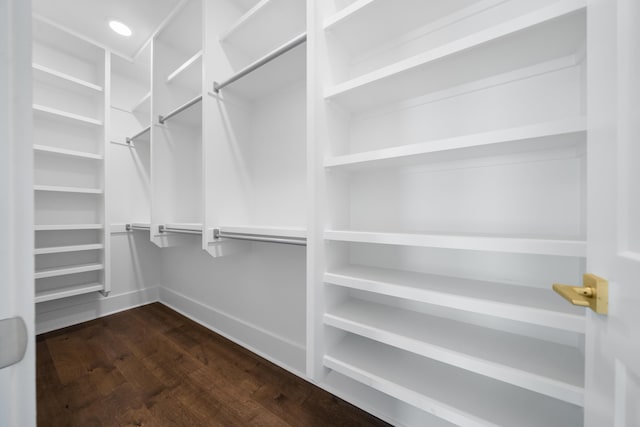 spacious closet featuring dark hardwood / wood-style flooring