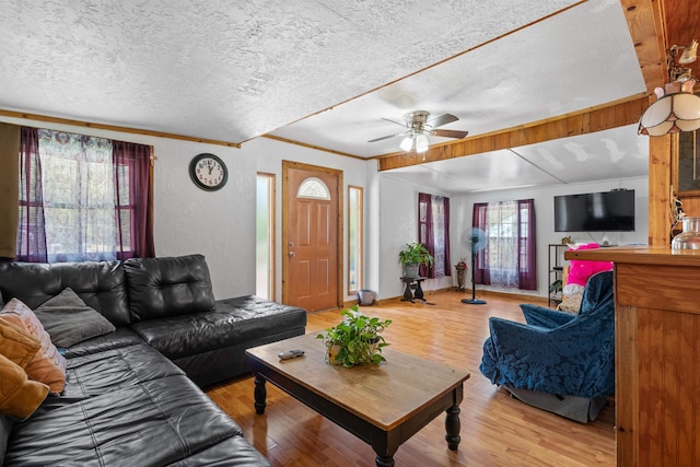 living room featuring ceiling fan, crown molding, a textured ceiling, and light hardwood / wood-style floors