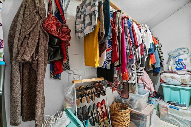 view of spacious closet