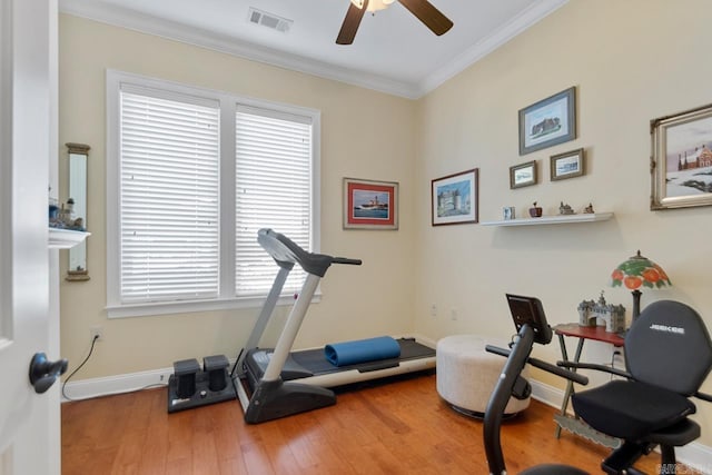 workout area featuring ceiling fan, hardwood / wood-style floors, and crown molding