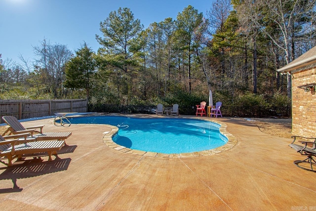 view of pool with a patio