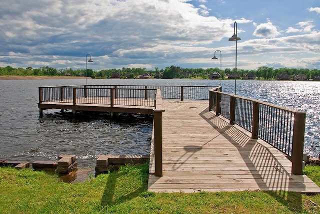 dock area with a water view