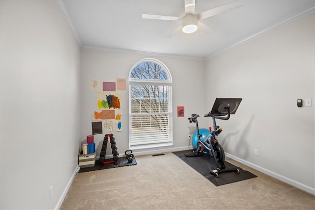 workout room with crown molding, ceiling fan, and carpet flooring