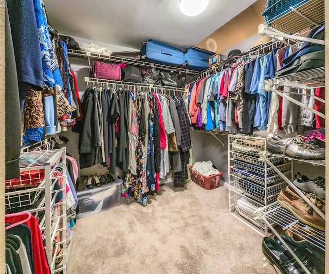 spacious closet featuring carpet