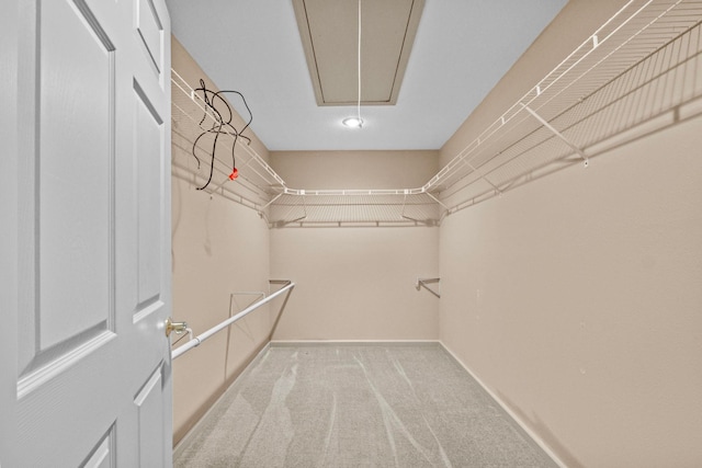 walk in closet with light carpet