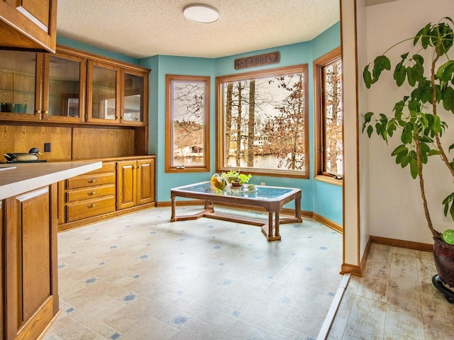 interior space with a textured ceiling