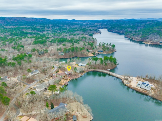 birds eye view of property with a water and mountain view