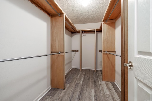 walk in closet featuring light hardwood / wood-style flooring