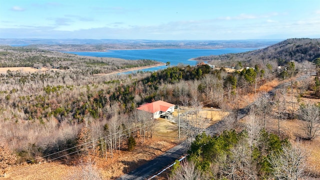 drone / aerial view with a water and mountain view