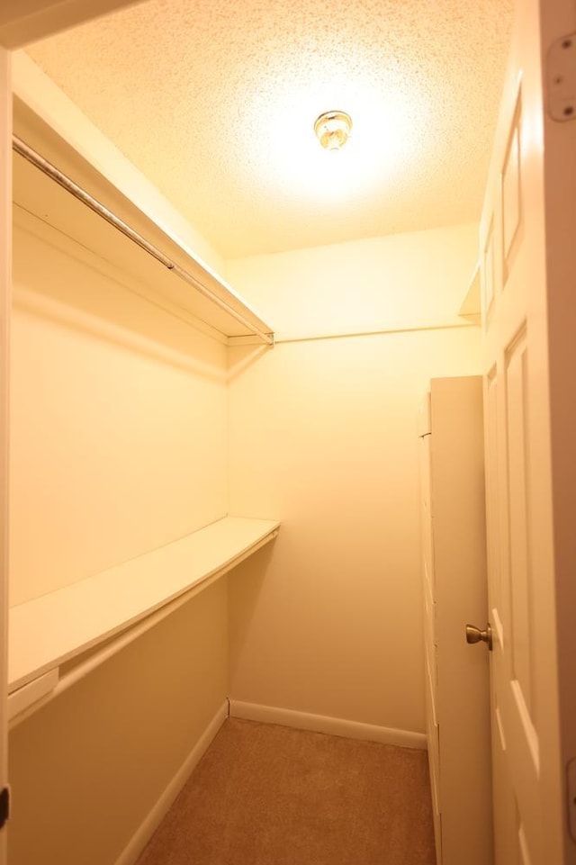 walk in closet featuring carpet flooring