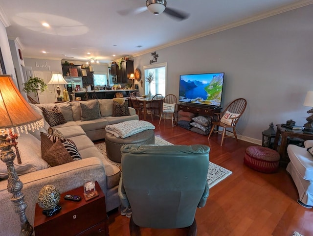 living room featuring ceiling fan, crown molding, and hardwood / wood-style floors