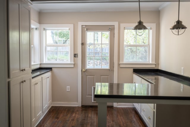 doorway to outside featuring dark hardwood / wood-style flooring and crown molding