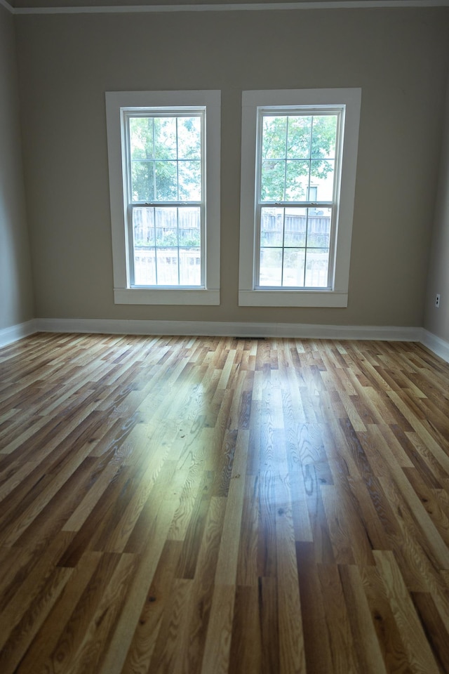 empty room featuring a wealth of natural light and wood-type flooring