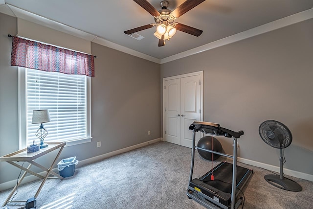 exercise area with ceiling fan, crown molding, and carpet flooring