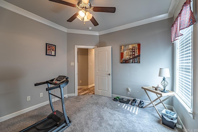 workout area featuring ceiling fan, carpet, and crown molding