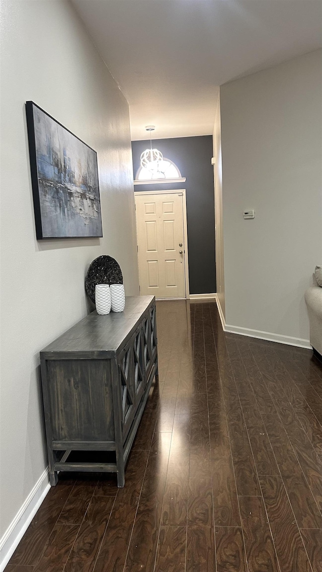 entrance foyer with dark wood-type flooring