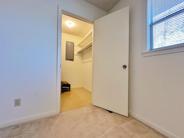 spacious closet featuring light colored carpet and electric panel