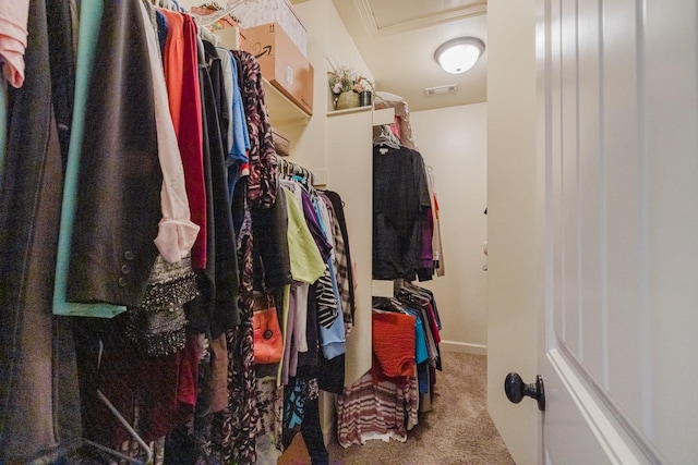 spacious closet with carpet flooring