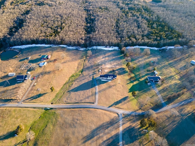 drone / aerial view