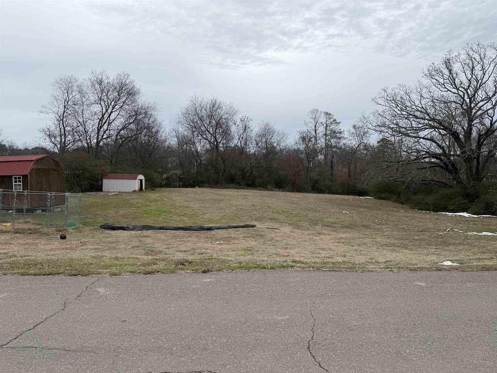 view of yard with a shed