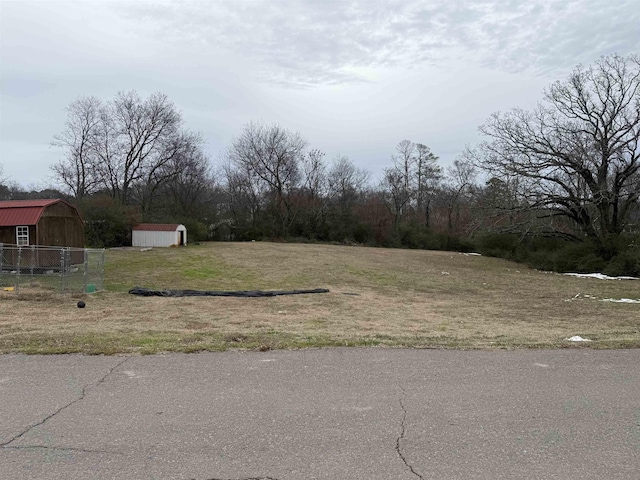 view of yard with a shed