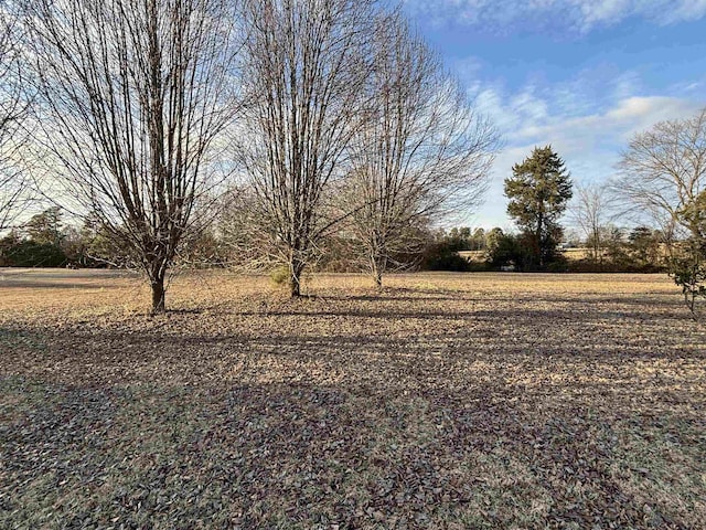 view of yard featuring a rural view