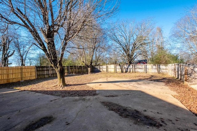 view of yard with a patio area