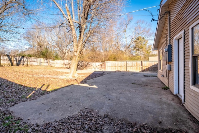 view of yard with a patio area