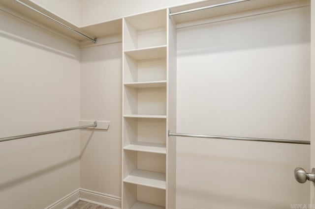 view of walk in closet