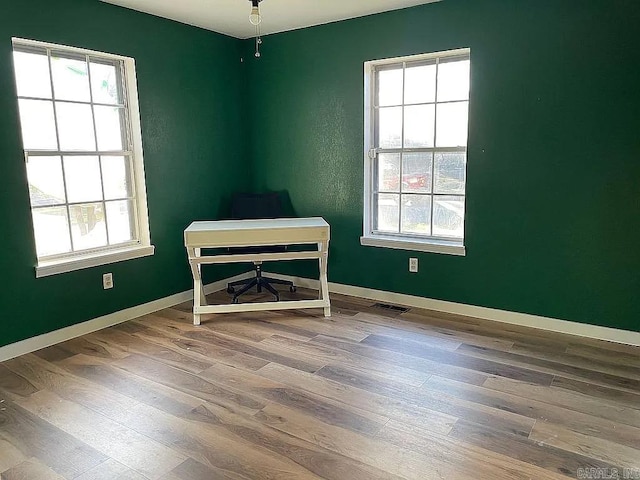 office space featuring wood-type flooring and a wealth of natural light