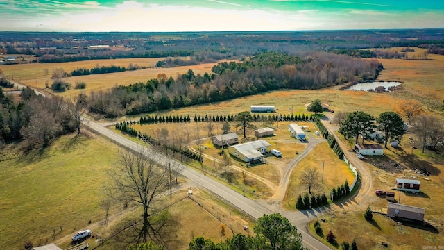 drone / aerial view featuring a rural view