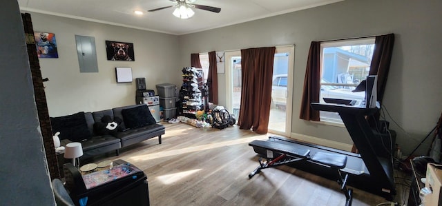 living room with ceiling fan, electric panel, ornamental molding, and light hardwood / wood-style floors