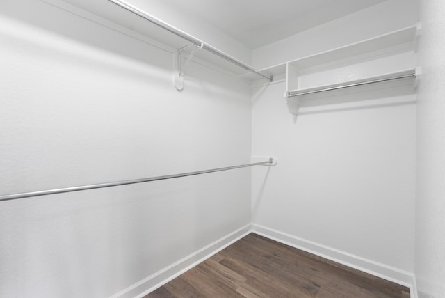 spacious closet featuring hardwood / wood-style flooring