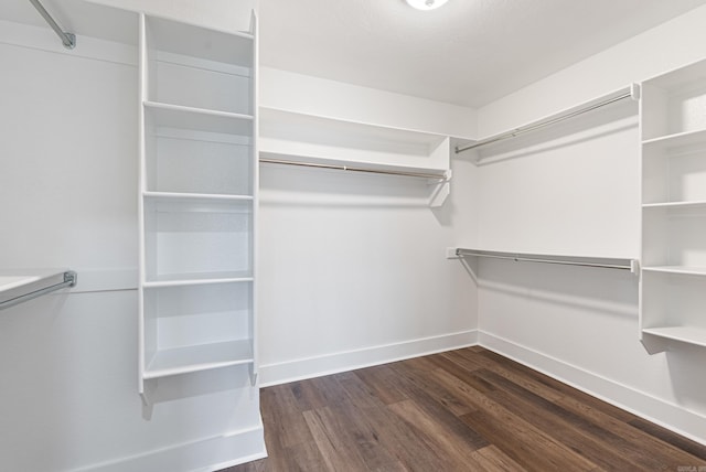 spacious closet featuring dark hardwood / wood-style flooring