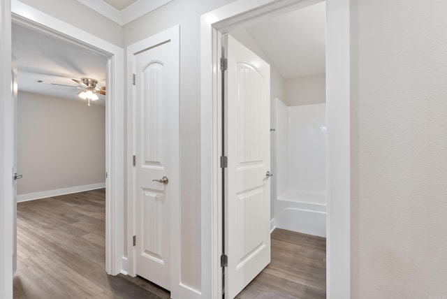 hallway featuring wood-type flooring