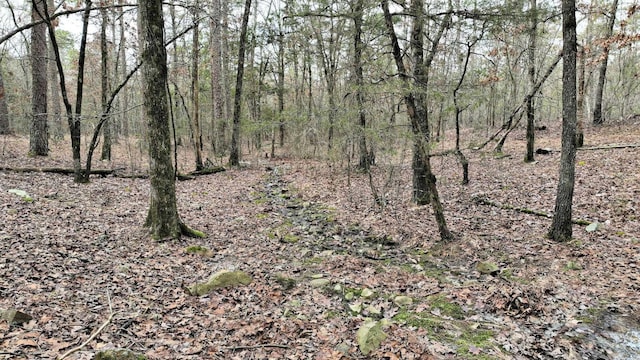 view of local wilderness